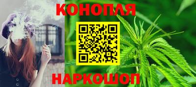 стафф Новокубанск