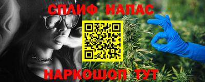 стафф Новокубанск
