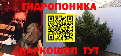 стафф Новокубанск