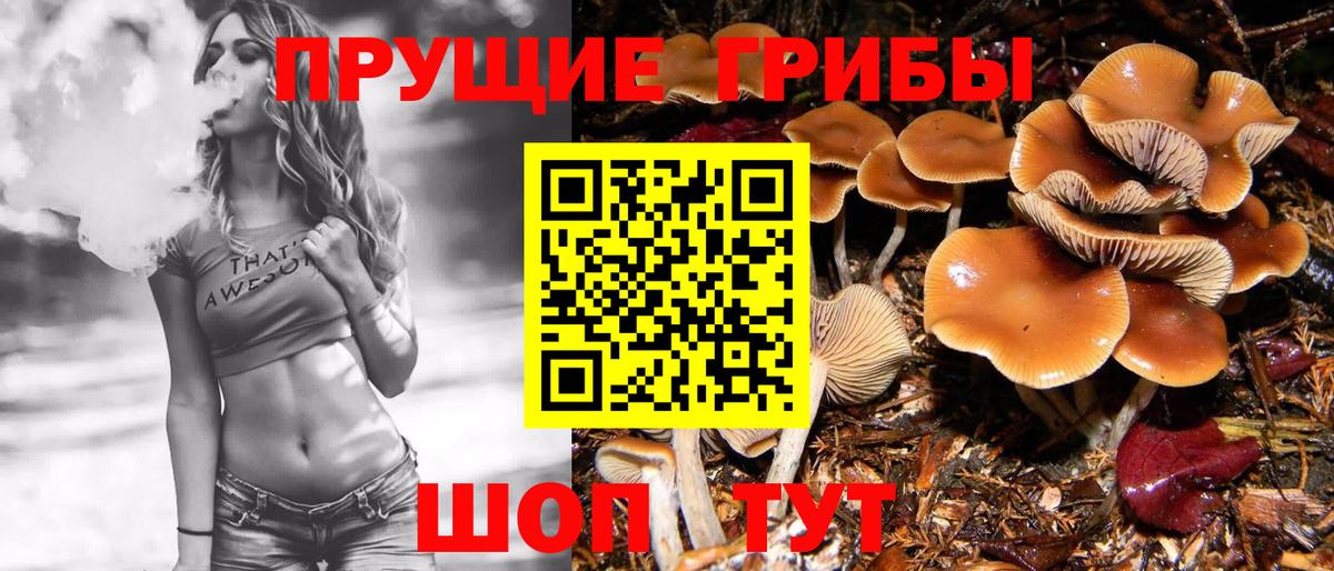 Чернушка  Псилоцибиновые грибы Magic Shrooms  Вход с VPN 