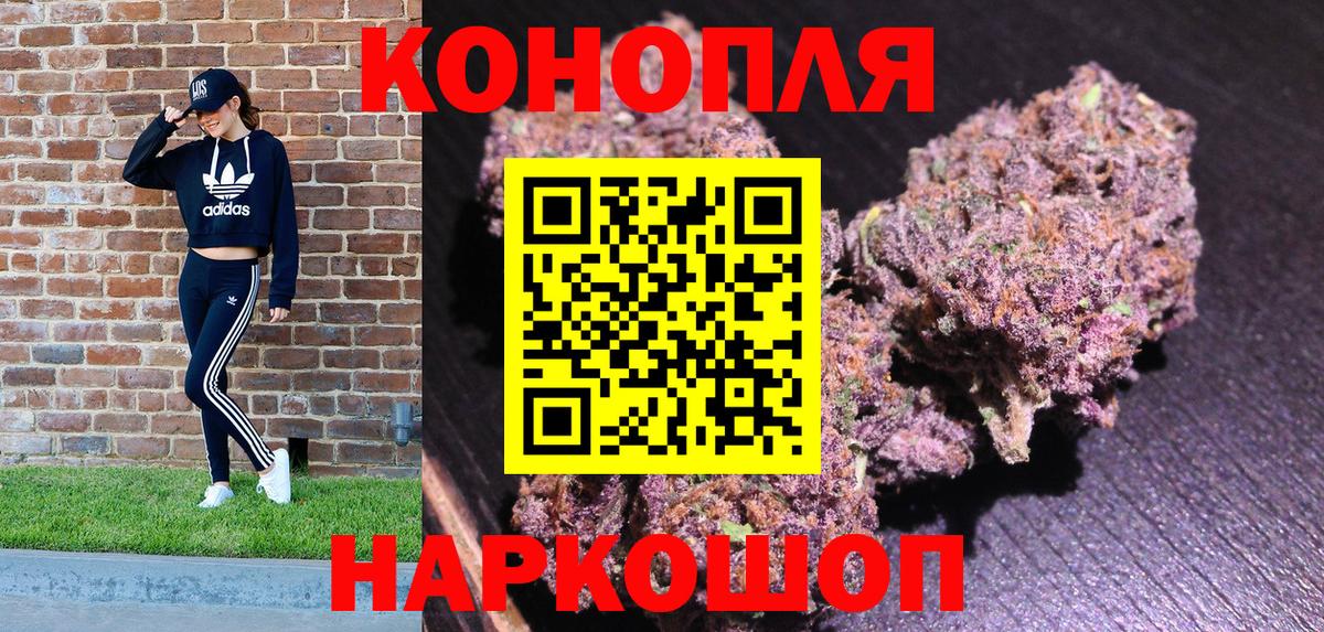 Бошки марихуана семена  Конопля гибрид  Конопля Amnesia  Чернушка  Вход с VPN  МАРИХУАНА марихуана 